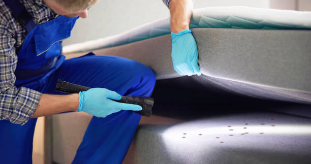 Best Pest Prevention Services  in Whitney, SC