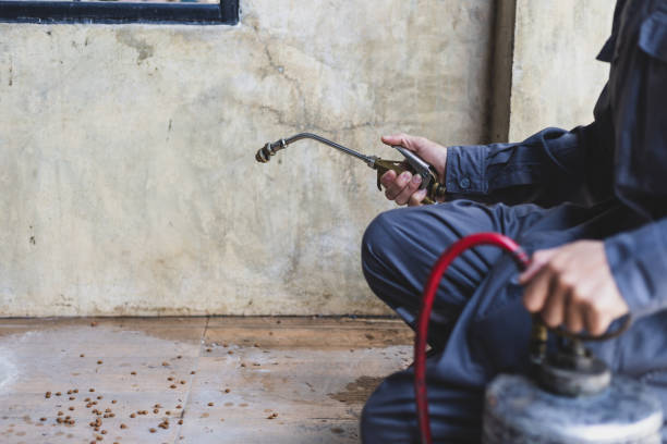 Best Pest Removal Services  in Whitney, SC